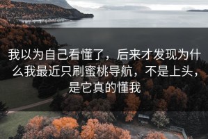 我以为自己看懂了，后来才发现为什么我最近只刷蜜桃导航，不是上头，是它真的懂我