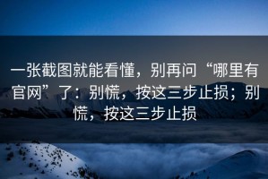 一张截图就能看懂，别再问“哪里有官网”了：别慌，按这三步止损；别慌，按这三步止损