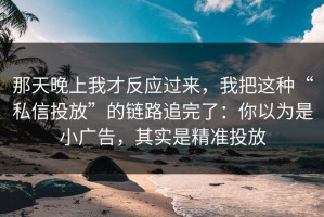 那天晚上我才反应过来，我把这种“私信投放”的链路追完了：你以为是小广告，其实是精准投放