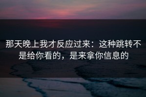 那天晚上我才反应过来：这种跳转不是给你看的，是来拿你信息的