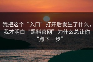 我把这个“入口”打开后发生了什么，我才明白“黑料官网”为什么总让你“点下一步”