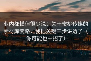 业内都懂但很少说：关于蜜桃传媒的素材库套路，我把关键三步讲透了（你可能也中招了）
