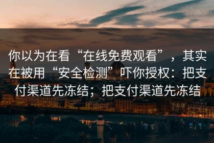 你以为在看“在线免费观看”，其实在被用“安全检测”吓你授权：把支付渠道先冻结；把支付渠道先冻结