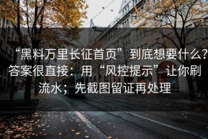 “黑料万里长征首页”到底想要什么？答案很直接：用“风控提示”让你刷流水；先截图留证再处理