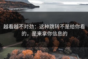 越看越不对劲：这种跳转不是给你看的，是来拿你信息的