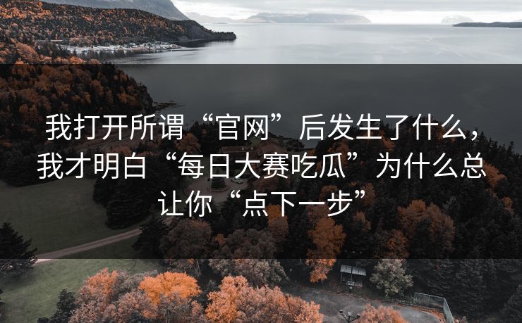我打开所谓“官网”后发生了什么，我才明白“每日大赛吃瓜”为什么总让你“点下一步”