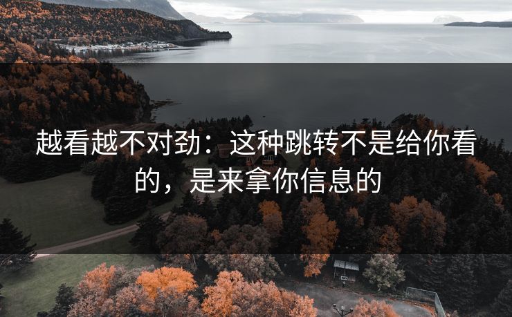 越看越不对劲：这种跳转不是给你看的，是来拿你信息的