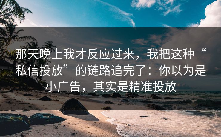 那天晚上我才反应过来，我把这种“私信投放”的链路追完了：你以为是小广告，其实是精准投放