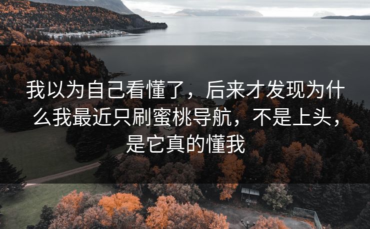 我以为自己看懂了，后来才发现为什么我最近只刷蜜桃导航，不是上头，是它真的懂我