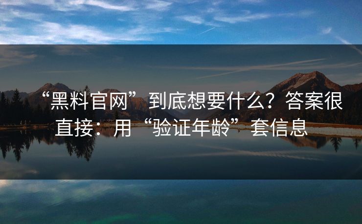 “黑料官网”到底想要什么？答案很直接：用“验证年龄”套信息