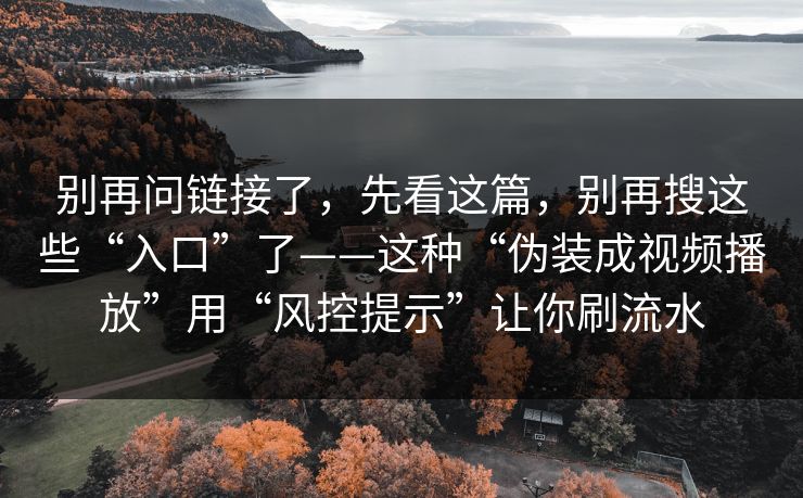 别再问链接了，先看这篇，别再搜这些“入口”了——这种“伪装成视频播放”用“风控提示”让你刷流水