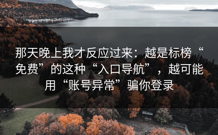 那天晚上我才反应过来：越是标榜“免费”的这种“入口导航”，越可能用“账号异常”骗你登录