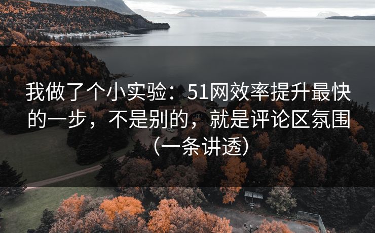 我做了个小实验：51网效率提升最快的一步，不是别的，就是评论区氛围（一条讲透）